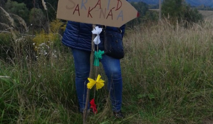 Šarkaniáda