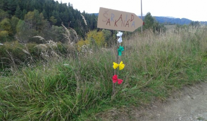 Šarkaniáda