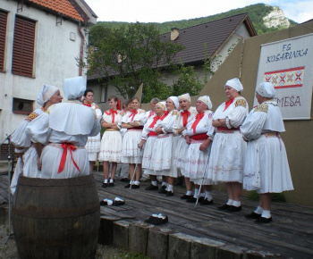 Kultúra / Košarinka - 10. výročie vzniku - foto