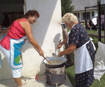 Kultúra / Oslavy obce Temeš - foto