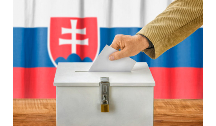 Zaregistrovaní kandidáti na starostu obce a obecného zastupiteľstva obce Temeš